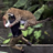 Iron Jaguar
