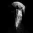 Tibia Urn
