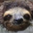 Zachary_Quack