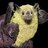Chiropteran