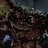 king_mollusk