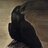 Quoth The Raven
