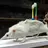Taxidermied Rat
