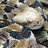 Canebrake