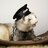 OfficerFerret