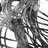||Wired Inhabitant||
