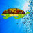 710Turtle