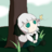 Konpaku Youmu