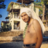Ustad Onur Taner