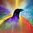 Raven Rainbow