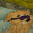 weedbag
