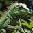 IguanaArts