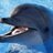 A_Dolphin