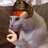 Special Agent DustyPoncho