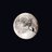 Child of the Moon